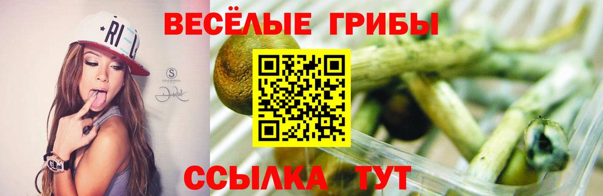 Галлюциногенные грибы Psilocybe  Вход с VPN  Ирбит  Галлюциногенные грибы ЛСД 